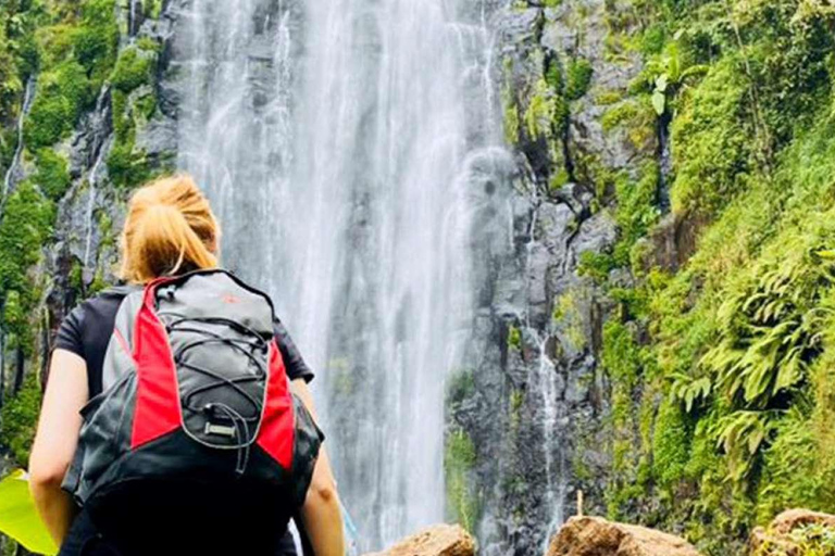 Excursão de um dia às cachoeiras, café e fontes termais de Materuni