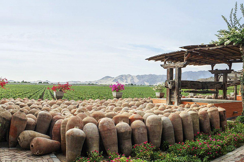 Ica: Ica Wine and Pisco Tour with Tastings