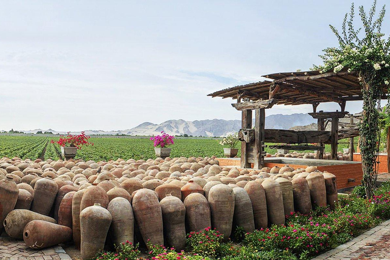 Ica: Ica Wine and Pisco Tour with Tastings