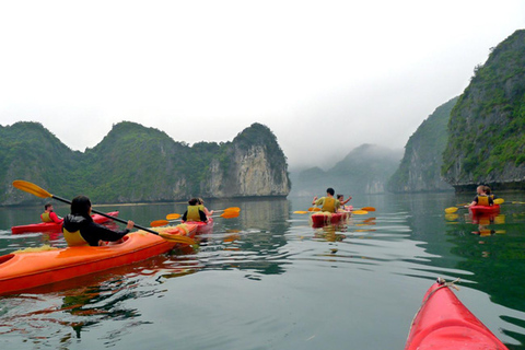 Ninh Binh: Halong Bay Day Cruise With Meal & Drop in Hanoi By Shuttle Bus