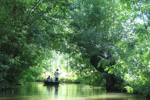 La Rochelle: Marais Poitevin - prywatna wycieczka samochodem z przewodnikiem