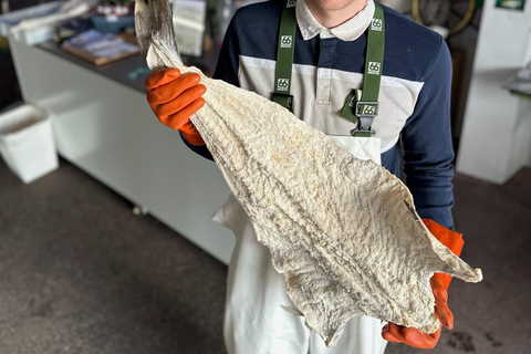 Hauganes: Baccala Factory Tour with Shark tasting