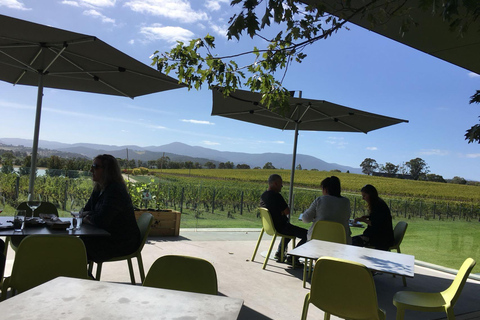 Melbourne Tour Privado en Coche por las Bodegas del Valle del Yarra