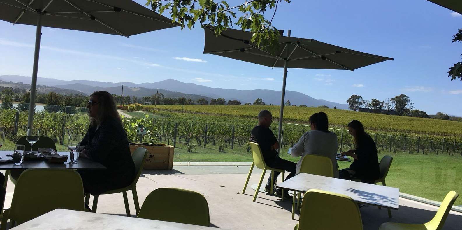 Melbourne: Yarra Valley Wineries Private Car Tour GetYourGuide
