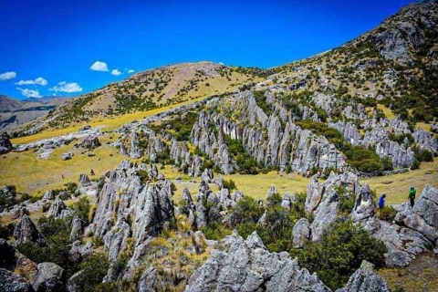 Huaraca - Explorez l'énigmatique bosquet de pierres