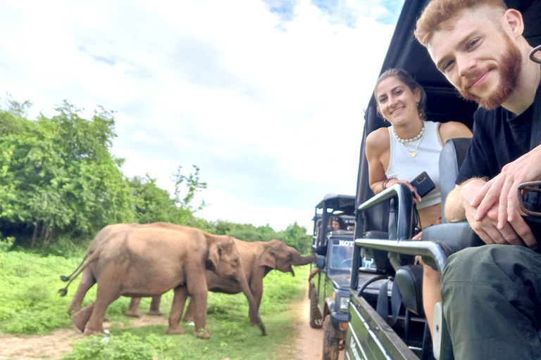 Yala, Udawalawe Safari &amp; Elephant Home Esperienza di vitaYALA Safari, Casa dell'elefante Esperienza di vita