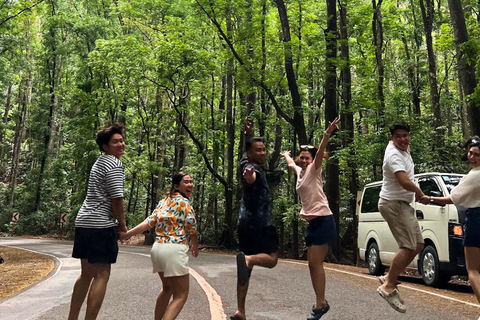 Tour privato di Bohol: Chocolate Hills, tarsi e fiume LobocTour privato a Bohol: Chocolate Hills, tarsi e fiume Loboc