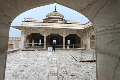 From Delhi: Taj Mahal Sunrise Tour with Elephant SOS Centres Tour with Car, Driver, Ticket, Guide & 5star Meals