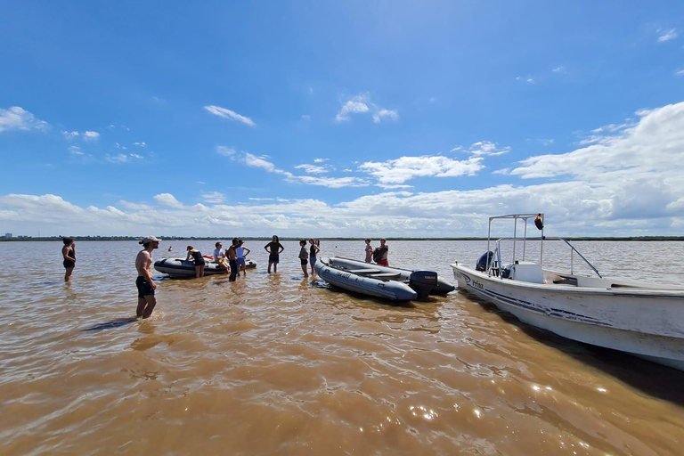 Tigre: Safari Delta Boat Tour in Tigre