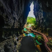 Phong Nha/Dong Hoi: Dark Cave Day & Phong Nha cave Phong Nha/Dong Hoi: Dark Cave Day & Phong Nha cave