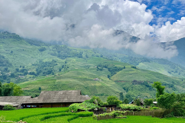 Z Hanoi: 3-dniowy trekking Sapa (nocleg w hotelu i u rodziny goszczącej)