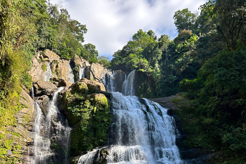 Manuel Antonio : Circuit de la cascade de Nauyaca et des villes de plage