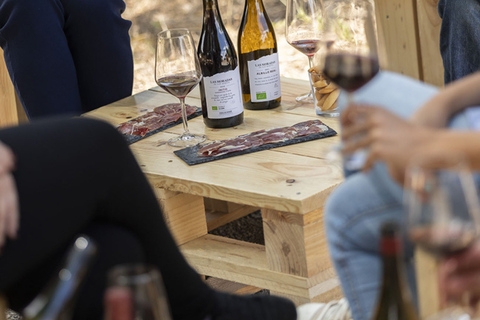 Madrid: Las Moradas de San Martín Winery Tour and Tasting