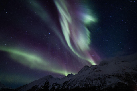 Tromsö: Norrskenstur med foton och hotelltransfer