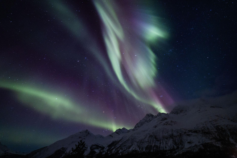 Tromsø: Northern Lights Tour with Photos and Hotel Transfer