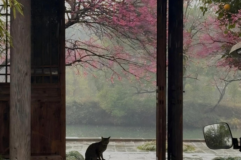 Hangzhou’s Urban Oasis: Poetic Xixi Wetland Half-Day Tour