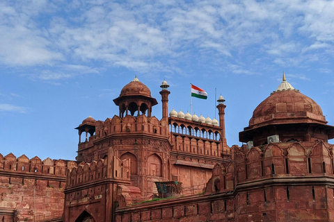 Delhi: Monument Tour with local guides &amp; transport