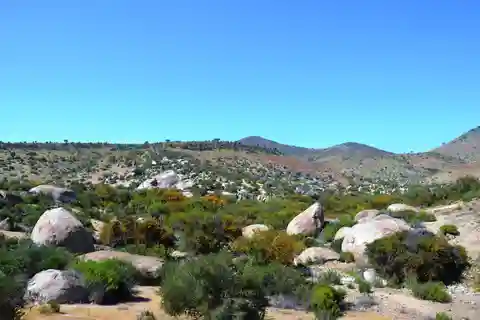 Chile: O sítio cerimonial dos xamãs do Vale Encantado do Atlântico