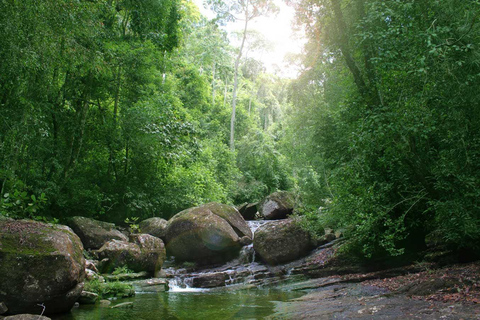 Forêt tropicale de Sinharaja : Excursion d&#039;une journée depuis Galle ou Bentota