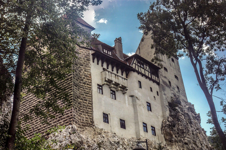Bucharest Private: Peleș Castle, Bran Castle, Brașov Tour