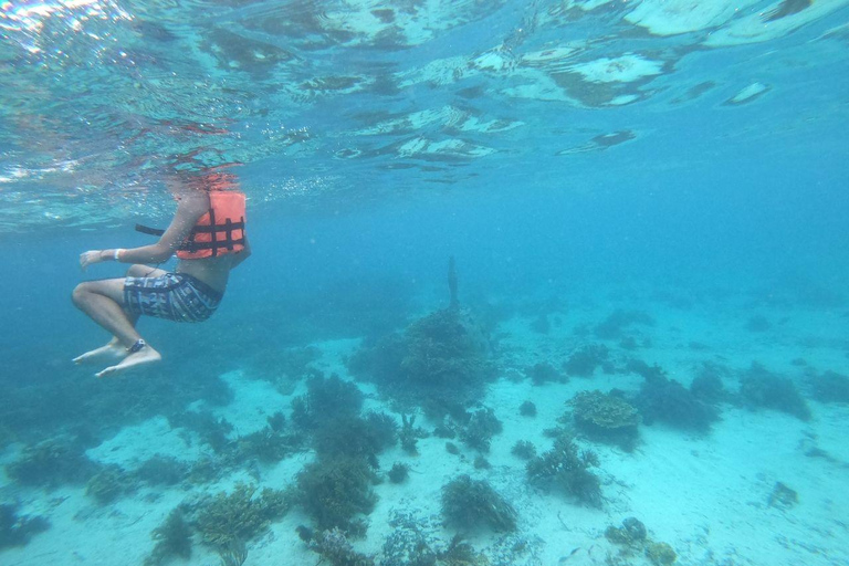 Isla Mujeres: Crucero en catamarán con snorkel, comida y bebidasExcursión desde Costa Mujeres