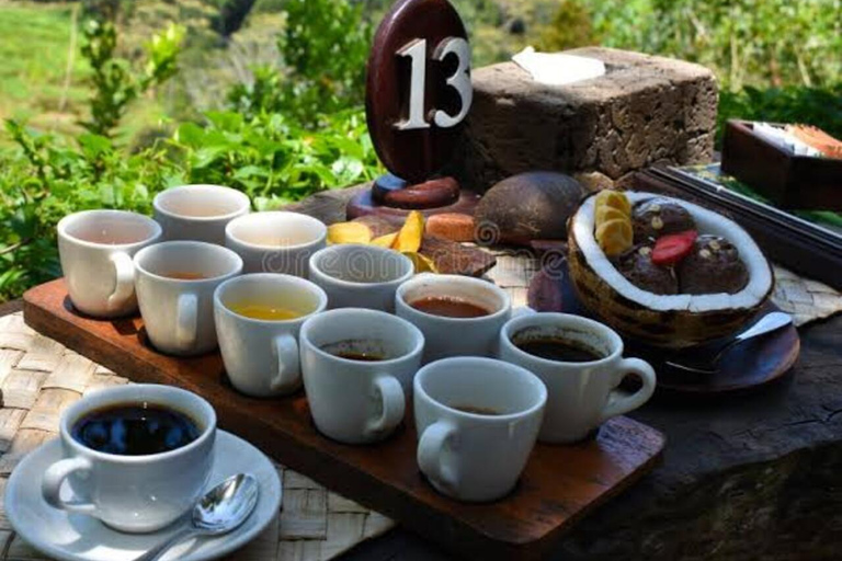 Ubud : Private Tour Waterfalls & Temple With Rice Terrace Private Tour With Spesial Group ( Exluded Entry Ticket )