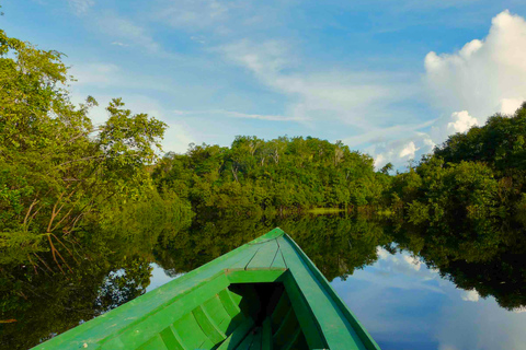 Excursión de 4 días a la selva del Manu desde Cusco