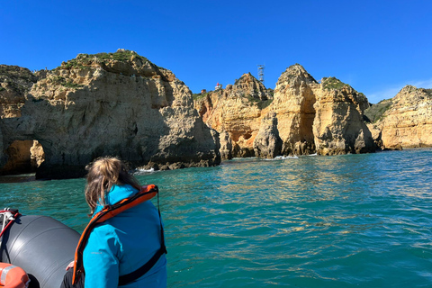 De Portimão : Observation des dauphins et du littoral de Lagos avec un biologiste