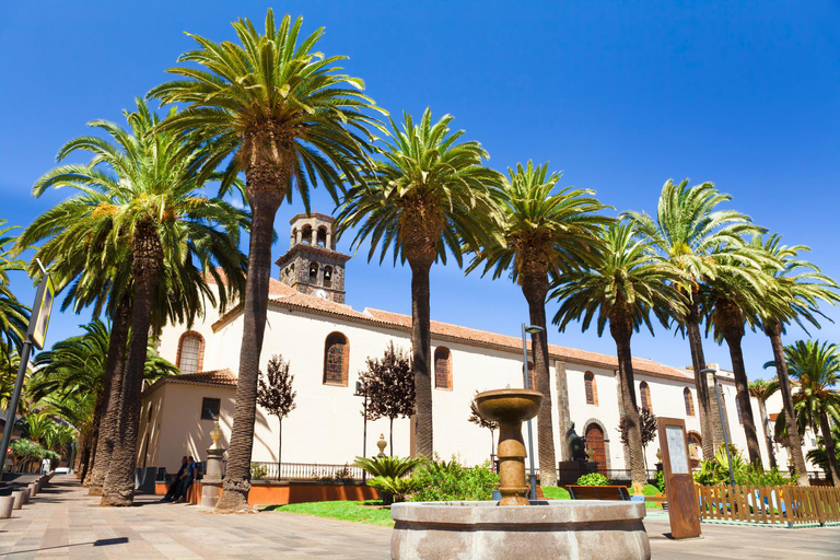 Best of Tenerife: Panoramic Shore Excursion with Port Pickup Shared Tour