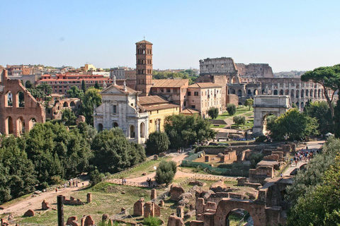 Roma: Colosseo, Foro Romano e Ingresso al PalatinoRoma: Colosseo, Foro Romano e Palatino Biglietto di ingresso prioritario