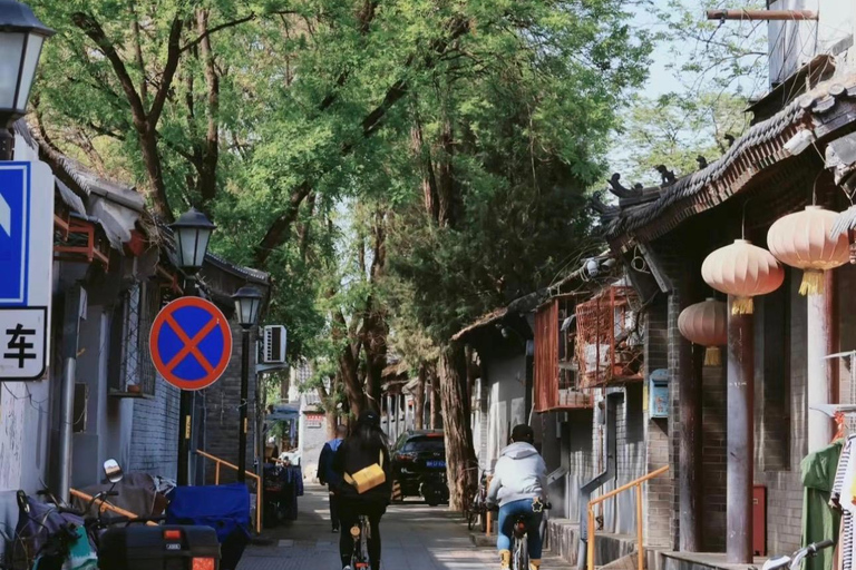 Beijing: Forbidden City Bike Tour with Jingshan Park Entry