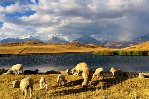 From Huaraz: Wilcacocha Lagoon Private Trek