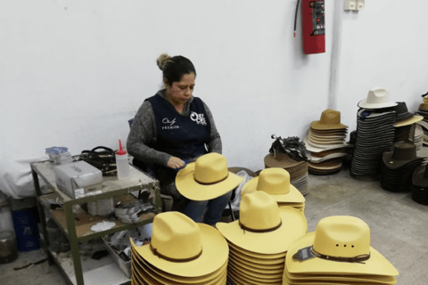 Desde León: Tour de la ciudad por tierra