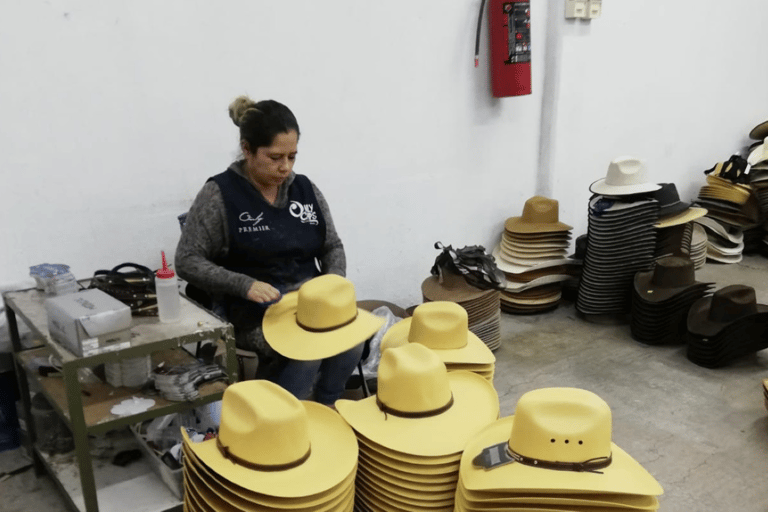 Desde León: Tour de la ciudad por tierra