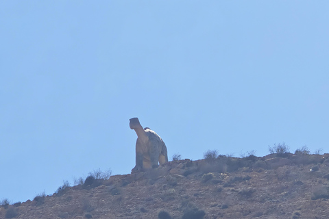 Djerba:Day in the Berber villages of Tataouine and Chenini