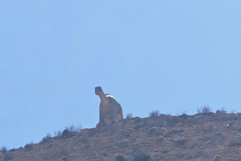 Djerba:Day in the Berber villages of Tataouine and Chenini