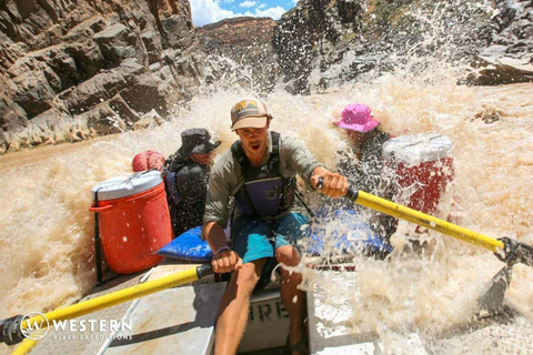 Westwater Canyon: Ganztägiges Wildwasser-Rafting-AbenteuerOhne Abholung