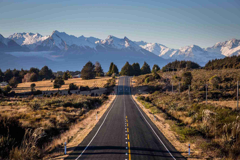 Tour di un giorno intero e crociera Premium nel Milford Sound