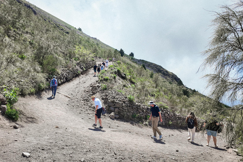 Pompeii Ruins & Vesuvius Full-Day Tour from Naples Pompeii Ruins & Vesuvius Full-Day Tour from Naples