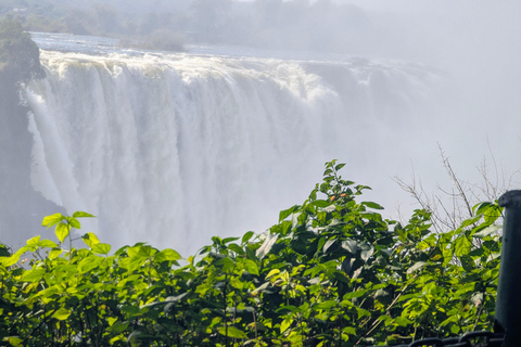 Victoria Falls Cross-Border Tour:Big Tree & Historic Bridge