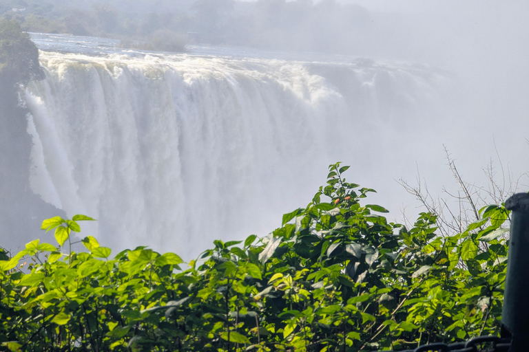 Victoria Falls Cross-Border Tour:Big Tree & Historic Bridge