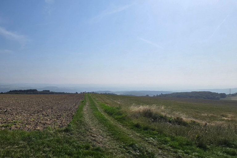 Guided hike on the Rhine Heights Tour St. Quintin