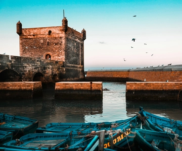 Marrakech: Guided Day Trip to Essaouira with Co-Op Visit
