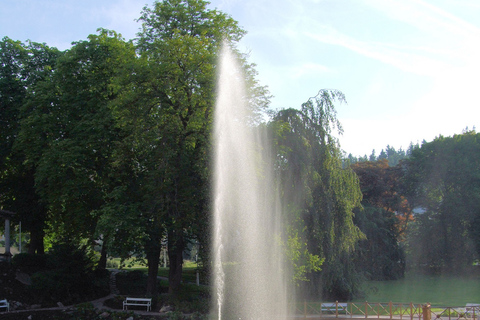 Från Prag: Karlovy Vary och Mariánské Lázně med lunchKarlovy Vary &amp; Marianske Lazne-tur från Prag med lunch