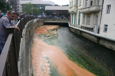 Karlovy Vary y Marianske Lazne desde Praga con almuerzp