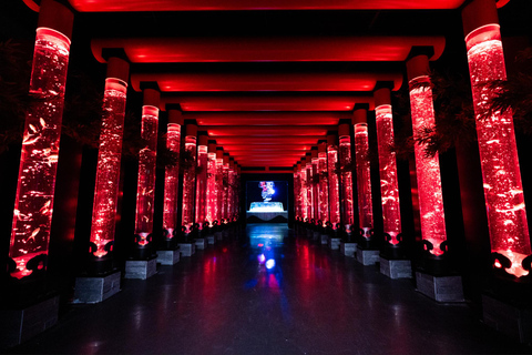Tokyo: Art Aquarium & "Yozakura" Night Walk Experience