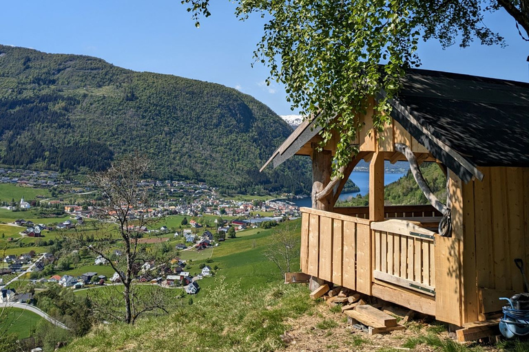 Vik : Randonnée avec visite de la ferme