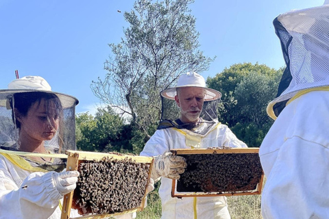 Kalamata: Beekeeping Experience with Honey Tasting