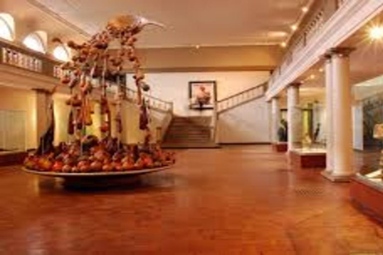 Nairobi: National Museum & Snake Park Guided Tour