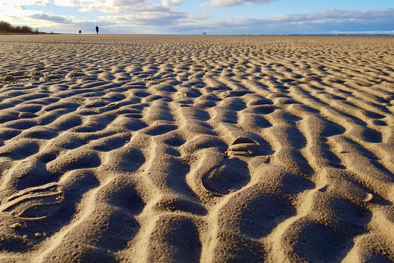 Ķemeri Great Bog With Optional Sunrise & Jūrmala Visit Ķemeri Bog Shared Small Group Tour